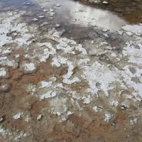 Wasser in der Wüste - leider etwas salzig
