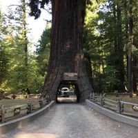 Redwood zum durchfahren. Eintritt: 5$ ("Its up to you to have fun!")