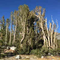 Yosemite Nationalpark